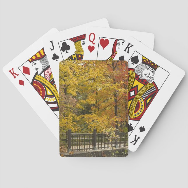 Baraja De Cartas a (Reverso)