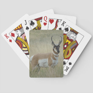 Baraja De Cartas A9 Pronghorn Antelope Big Buck