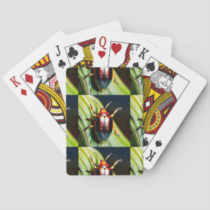 Baraja De Cartas Abandonado