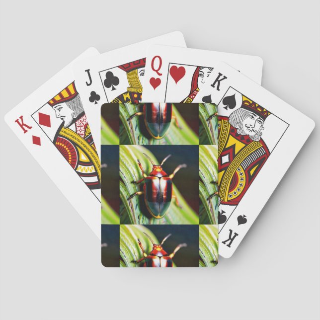 Baraja De Cartas Abandonado (Reverso)