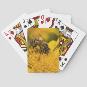 Baraja De Cartas Abeja Africana Con Sacos De Polen Alimentándose