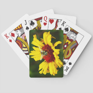 Baraja De Cartas Abeja blanca descansa en flor silvestre Naranja am