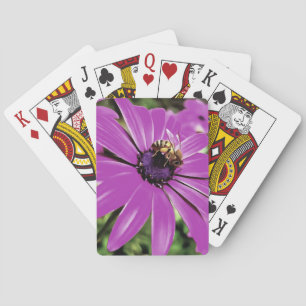 Baraja De Cartas Abeja De Miel En Un Arte De Daisía Morado Africano