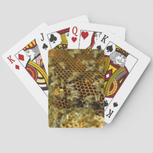 Baraja De Cartas Abejas En Colmena, Cabo Occidental, Sudáfrica