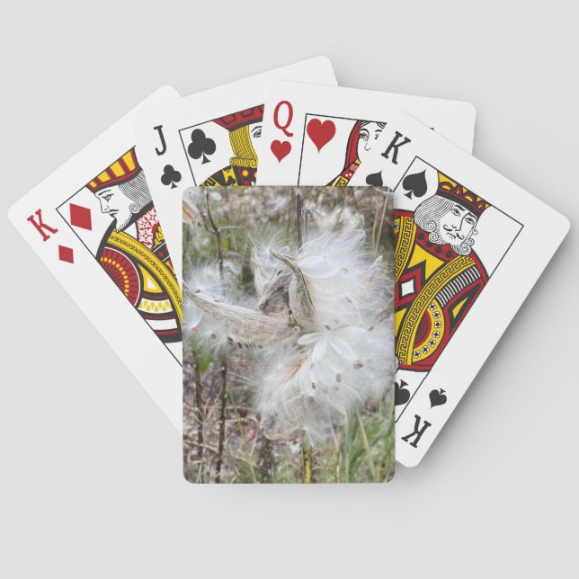 Baraja De Cartas Abrir Pods Milkweed | Semillas con seda | (Reverso)