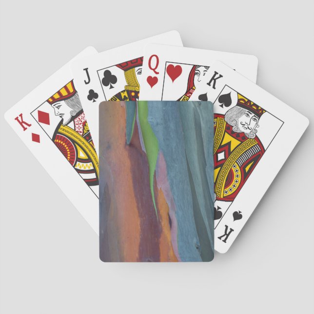 Baraja De Cartas Abstracto Del Árbol De Goma Arcoiris (Reverso)