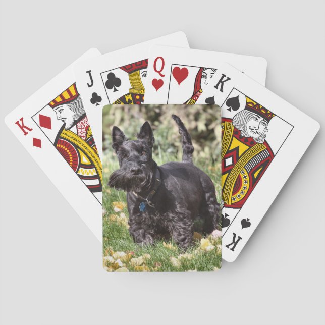 Baraja De Cartas Ach (Reverso)