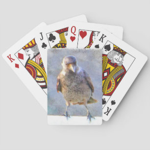Baraja De Cartas Acuarela de Jackdaw