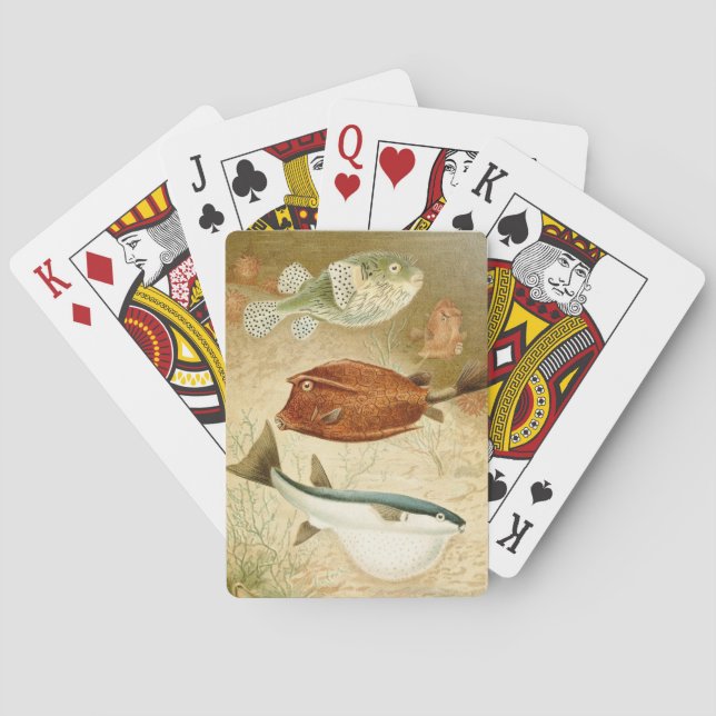 Baraja De Cartas Acuático holandés (Reverso)