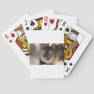 Baraja De Cartas ADOPT Tiffany