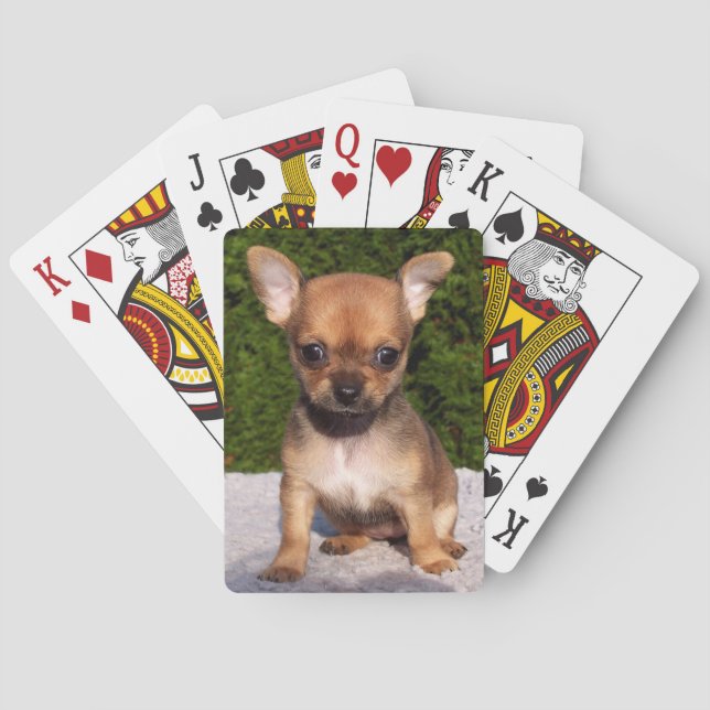 Baraja De Cartas Adorable cachorro chihuahua (Reverso)