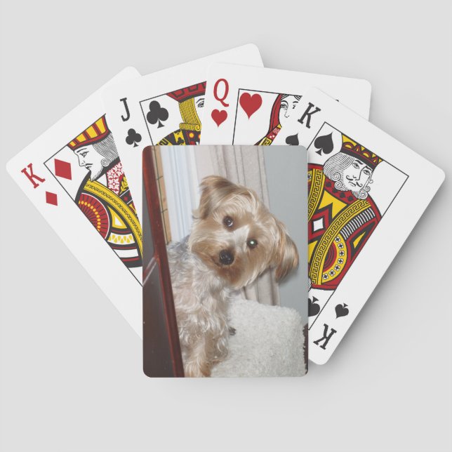 Baraja De Cartas Adorable Westie/Yorkie (Reverso)
