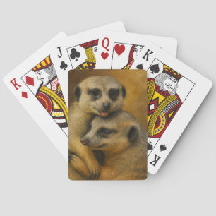 Baraja De Cartas Afecto de Meerkat