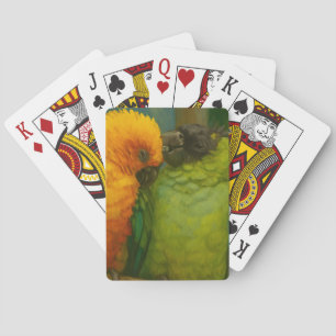 Baraja De Cartas Afecto tropical - loros en luz forestal