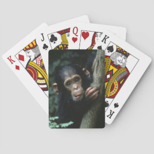 Baraja De Cartas África, África Oriental, Tanzania, Parque Nacional