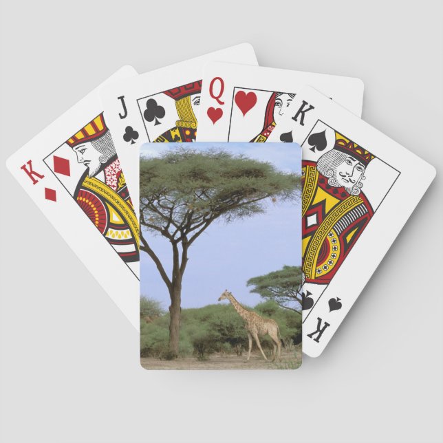 Baraja De Cartas África, Botswana, Delta del Okavango. Sur (Reverso)