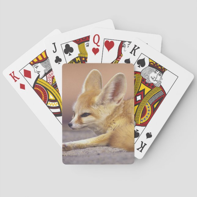 Baraja De Cartas África del Norte. Fennec Fennecus zerda) (Reverso)
