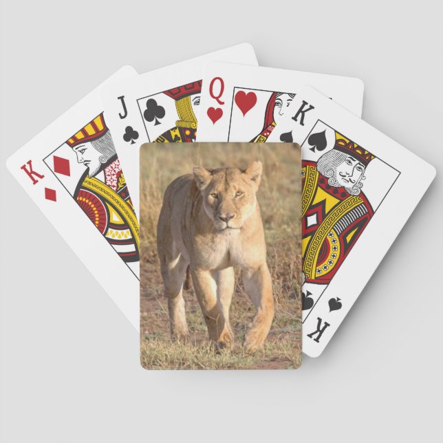 Baraja De Cartas África, Tanzania, Serengeti. León y leona (Reverso)
