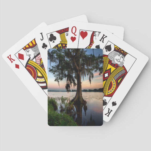 Baraja De Cartas Agua | Kraft Azalea Park Maitland Florida (Reverso)