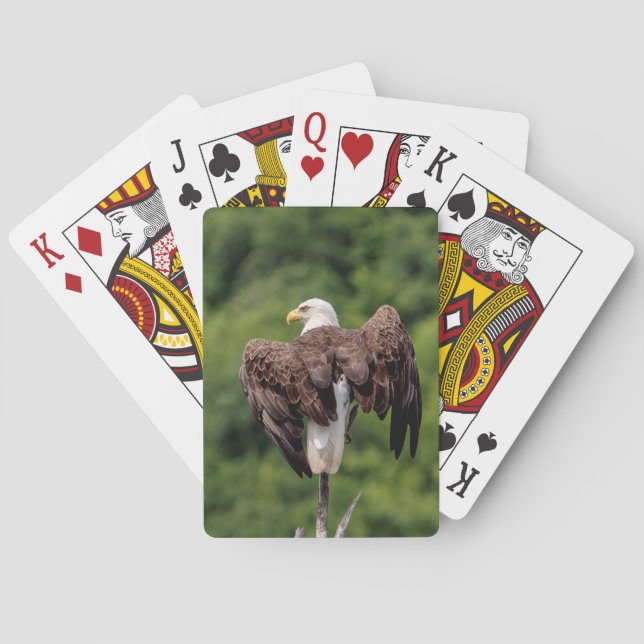 Baraja De Cartas Águila calva en una rama (Reverso)
