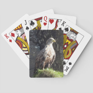 Baraja De Cartas Águila de cola blanca posada en acantilado rocoso