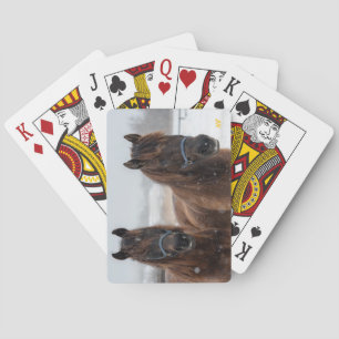 Baraja De Cartas AHT Horse Rescue