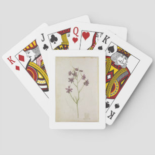 Baraja De Cartas Ajacis del Delphinium, c.1568