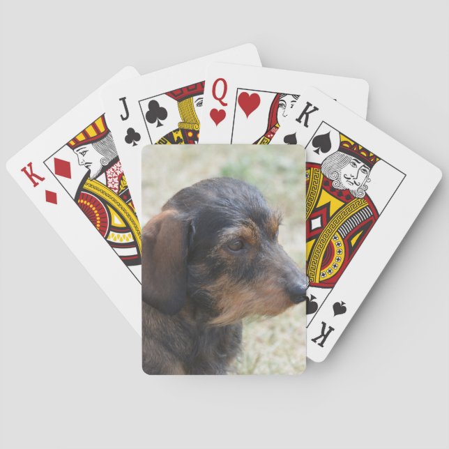 Baraja De Cartas Alambre lindo Daschund cabelludo (Reverso)