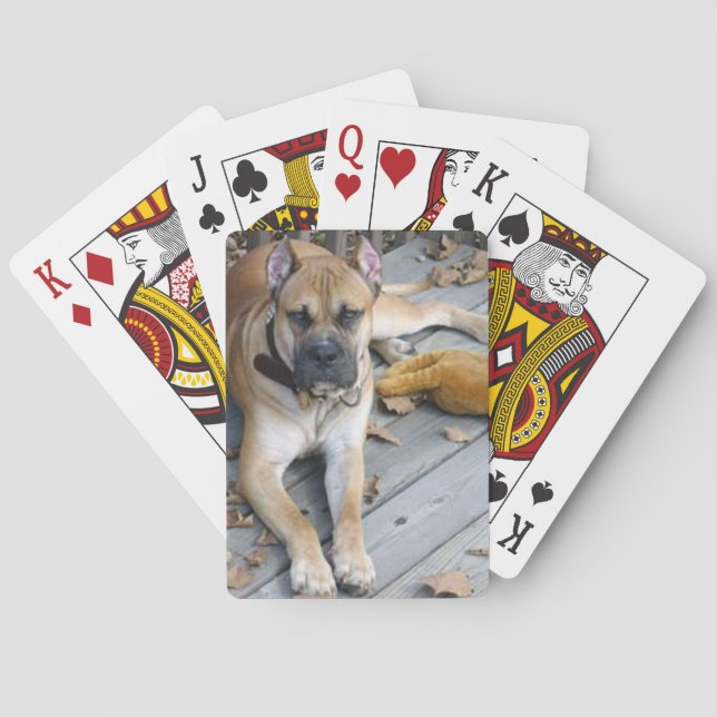Baraja De Cartas alano español acostado (Reverso)