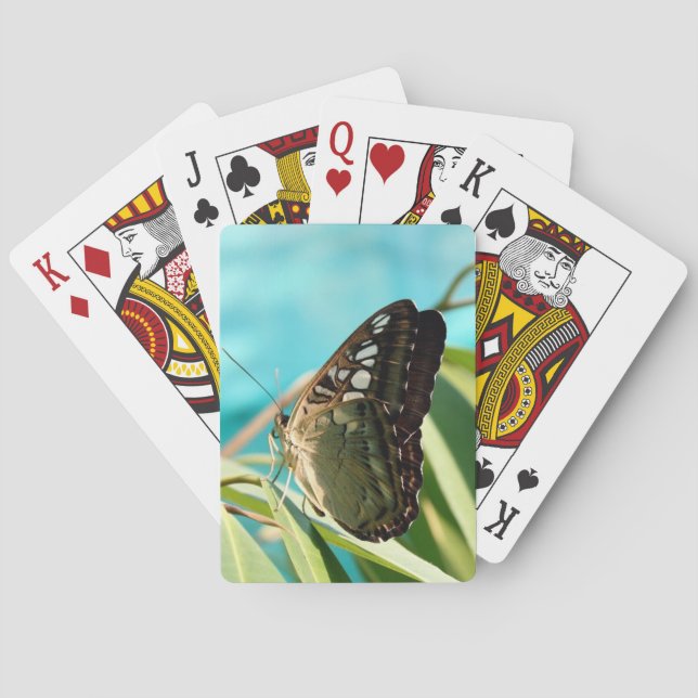 Baraja De Cartas Alas cerradas de mariposa marrón (Reverso)