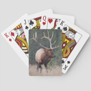 Baraja De Cartas Alce de las Montañas Rocosas