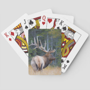 Baraja De Cartas Alce de las Montañas Rocosas toro