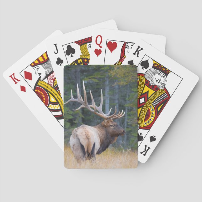 Baraja De Cartas Alce de las Montañas Rocosas toro (Reverso)