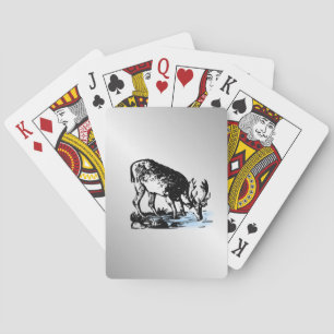 Baraja De Cartas Alce en arroyo