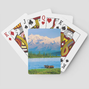 Baraja De Cartas Alce macho en Wonder Lake