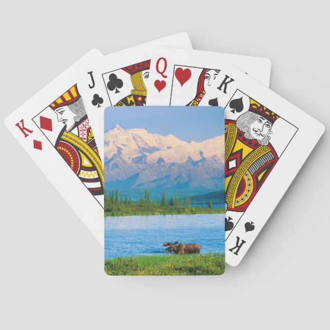 Baraja De Cartas Alce macho en Wonder Lake (Reverso)