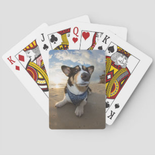 Baraja De Cartas ¿Alguien dijo la galleta?