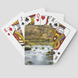 Baraja De Cartas Alley Springs Rapids