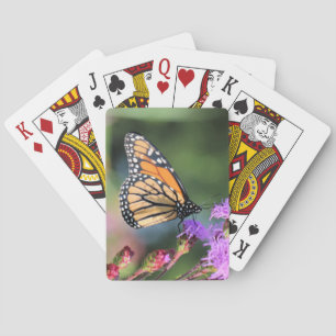 Baraja De Cartas Almuerzo de monarca