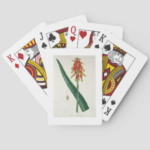 Baraja De Cartas Áloe de "Phytographie Medicale" por José Roques