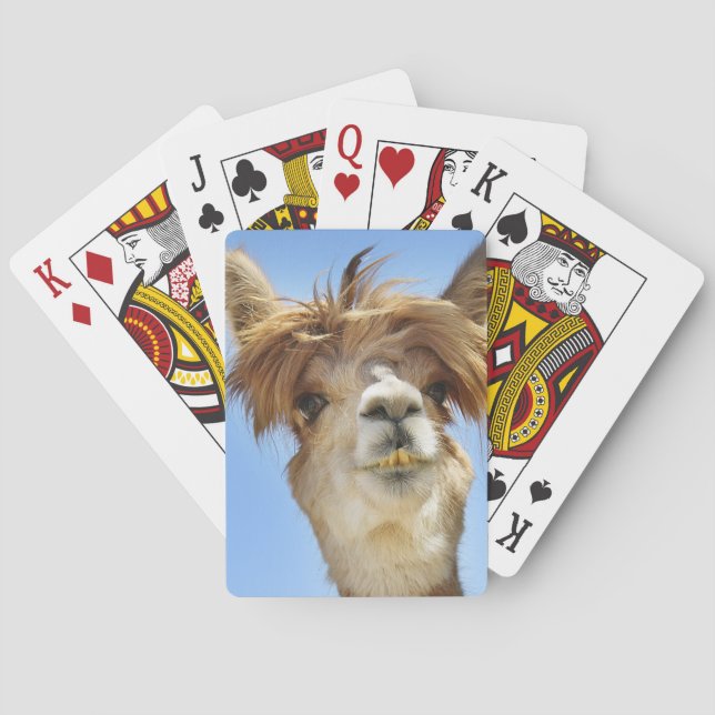 Baraja De Cartas Alpaca con el pelo loco (Reverso)
