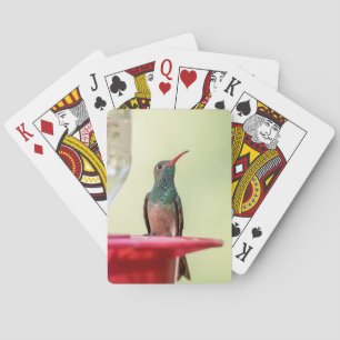 Baraja De Cartas Alumnaicorus malhus