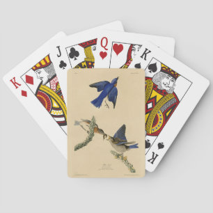 Baraja De Cartas Alumnos azules orientales de los pájaros de Améric