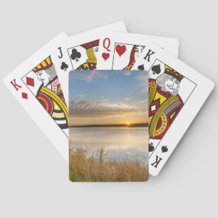 Baraja De Cartas Amanecer sobre humedales en Arrowwood Nacional