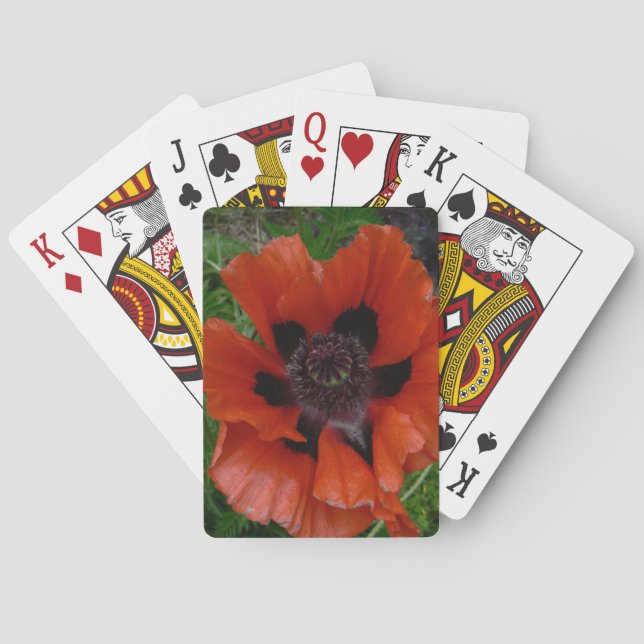 Baraja De Cartas amapola oriental    (Reverso)