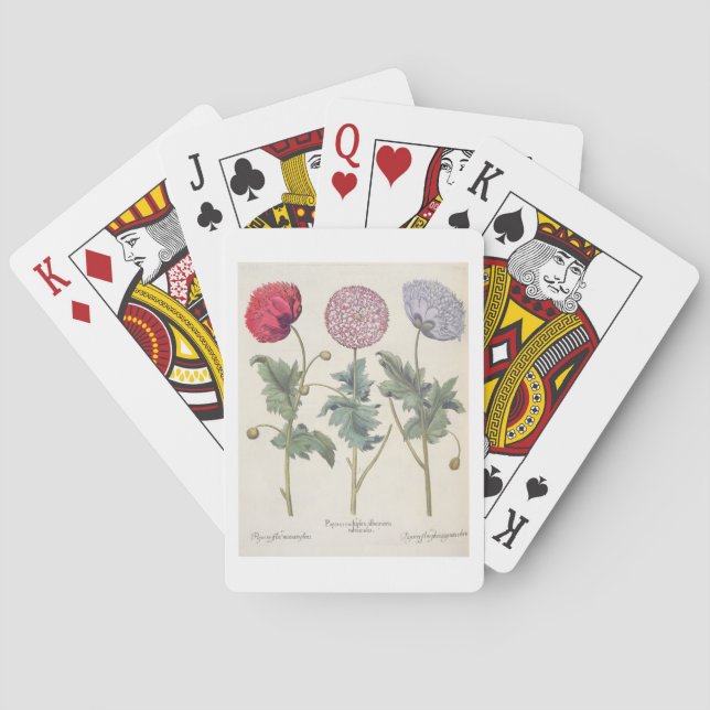 Baraja De Cartas Amapolas: rubicundis múltiplexes de los albumoris (Reverso)