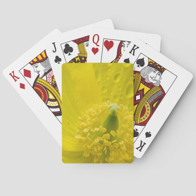 Baraja De Cartas Amarillo oriental (Reverso)