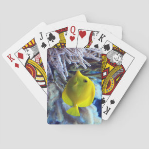 Baraja De Cartas Amarillo Saltwater Tang Fish