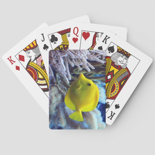 Baraja De Cartas Amarillo Saltwater Tang Fish (Reverso)