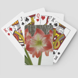 Baraja De Cartas Amaryllis en floral de invierno en la nieve roja f